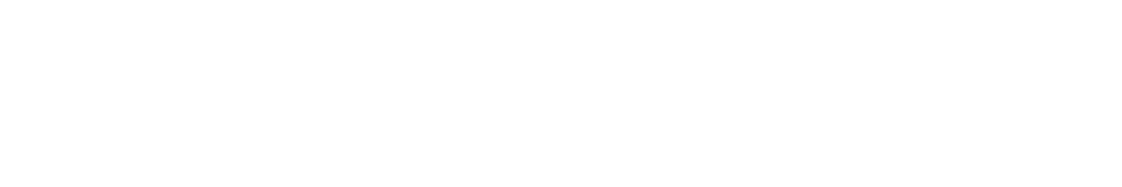 Zingdom logo